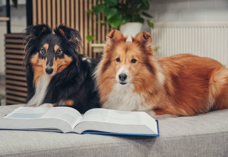 Yhteistyössä on voimaa.