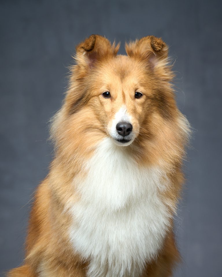 Miksi ”Myy Learning”?